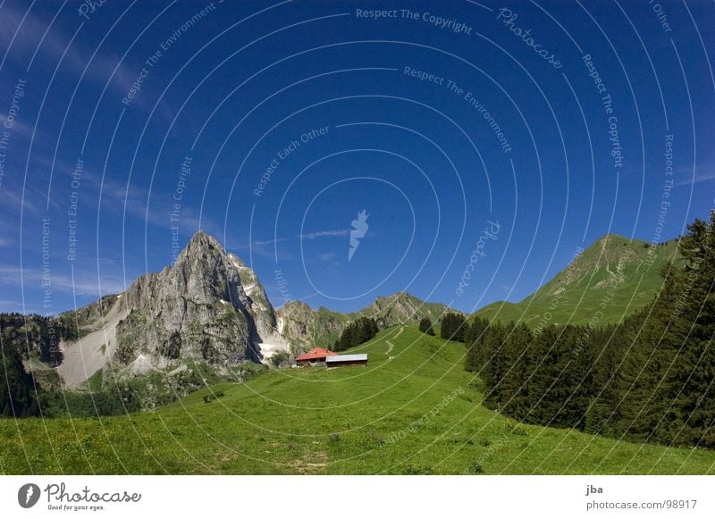 heile Bergwelt Berge u. Gebirge Alm steil Wiese Gras Wald Tanne Stall Scheune abgelegen schön Gesundheit z'Bärg Felsen Stein Amerika Hütte Natur Natur pur