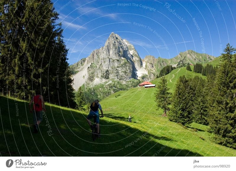 Wanderwetter Berge u. Gebirge Alm steil Wiese Gras Wald Tanne Stall Scheune abgelegen schön Gesundheit Fahrrad fahren wandern Physik z'Bärg Felsen Stein Amerika