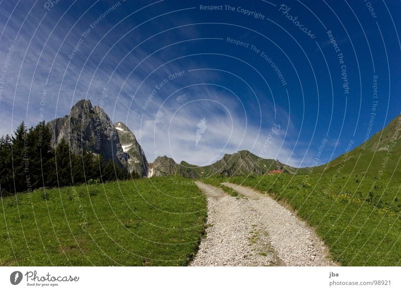 aufwärts Berge u. Gebirge Alm steil Wiese Gras Tanne abgelegen schön Gesundheit Fußweg Steinweg steinig z'Bärg Felsen Amerika Natur Natur pur Wege & Pfade hoch