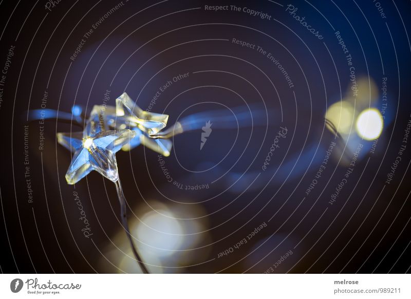 Sternenschein Winter Sternleuchten Lichterkette glänzend Unschärfe Weihnachten & Advent Feste & Feiern genießen träumen warten blau gold weiß Stimmung