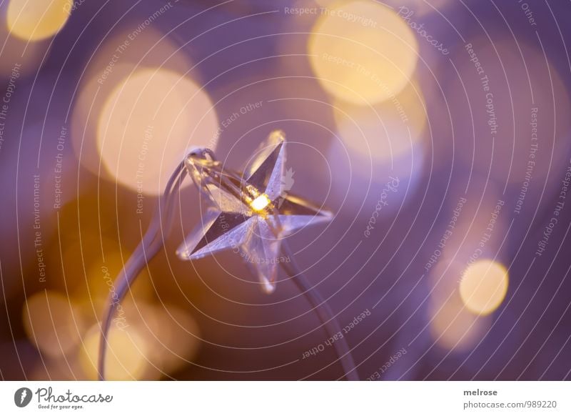 Sternlein Sternlein ... Lichterkette "Bokeh," Leuchtpunkte Erholung Feste & Feiern leuchten träumen warten glänzend gold violett Stimmung ruhig Hoffnung Glaube