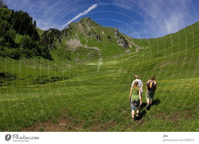 heile Bergwelt III Berge u. Gebirge Alm steil Wiese Gras Tanne abgelegen schön Gesundheit wandern gehen marschieren Motivation Idylle Bach Blume z'Bärg Felsen