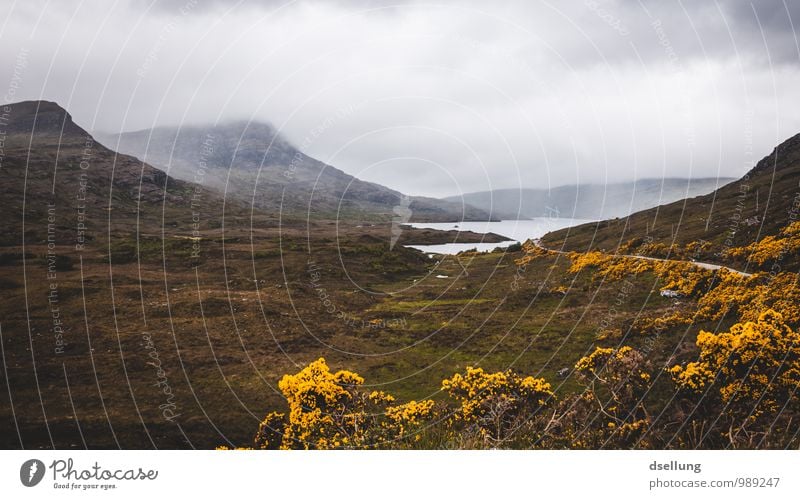 allein. menschenleer. Umwelt Natur Landschaft Urelemente Erde Wasser Himmel Wolken Frühling Sommer Herbst Klima Wetter Schönes Wetter schlechtes Wetter Nebel