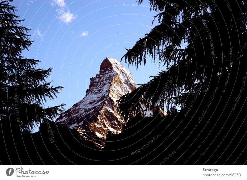 Matterhorn VI Gipfel Schweiz Zermatt Kanton Wallis Bergsteiger Klettern aufsteigen Bergkamm Felswand Tanne Baum Wolken verdeckt Geborgenheit schön groß Macht