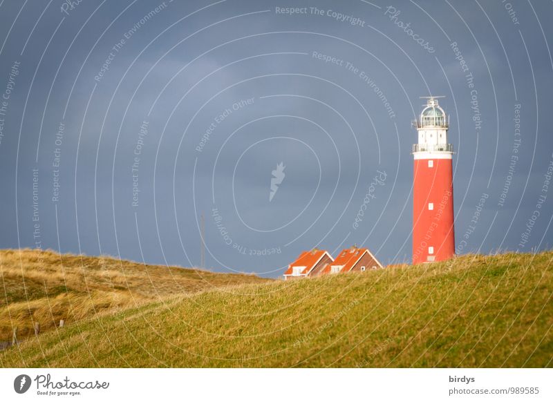 Leuchtturm von Texel Ferien & Urlaub & Reisen Insel Natur Himmel Wolken Herbst Nordsee Düne Dünengras Niederlande ästhetisch authentisch Freundlichkeit