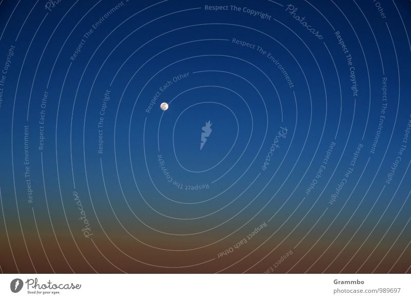 Ein Hauch von Unendlichkeit Luft Himmel nur Himmel Schönes Wetter blau Mond Mondschein Farbfoto Außenaufnahme Menschenleer Textfreiraum links