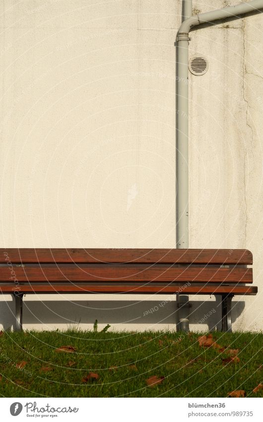 Es sind noch Sonnenplätze frei! Gras Rasen Wiese Blatt Garten Park Stadt Mauer Wand Dachrinne Lüftungsschacht Parkbank Bank Sitzgelegenheit Holzbank sitzen