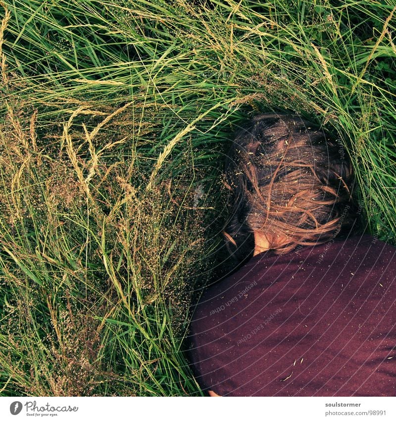 Heuschnupfen Gras dreckig beklemmend igitt Wiese Erholung Juckreiz Wegrand flau Junge Frau Quadrat Sommer Samen Natur Alkoholisiert Haare & Frisuren Kopf Nase