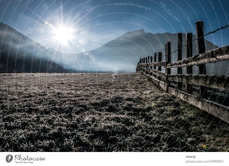 Der Winter lässt auf sich warten... Natur Landschaft Himmel Wolkenloser Himmel Sonnenaufgang Sonnenuntergang Sonnenlicht Herbst Wetter Schönes Wetter Eis Frost