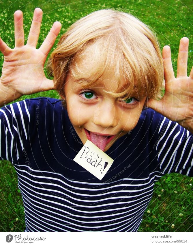 Bääh! Hand blond Finger Gras grün grasgrün Kind Junge Boy Hands Haare & Frisuren Hairs frech Auge Zettel Zunge Nase Gesicht Sweatshirt