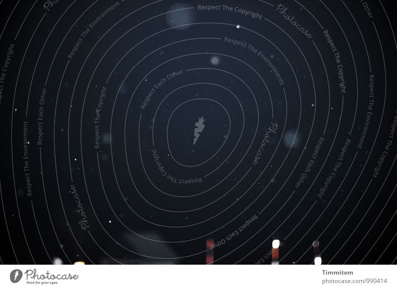In dunkler Nacht. Umwelt Nachthimmel Winter Wetter Schneefall Straße Pfosten Schilder & Markierungen Hinweisschild Warnschild Blick dunkel schwarz Gefühle