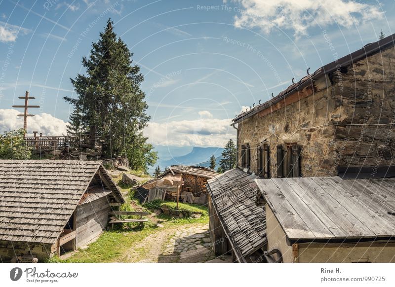 Pause wandern Ferien & Urlaub & Reisen Ausflug Wolken Sommer Schönes Wetter Baum Gras Berge u. Gebirge Südtirol Haus Hütte Gebäude Dach Erholung anstrengen