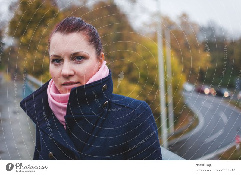 Immer geradeaus! Mensch feminin Junge Frau Jugendliche 1 18-30 Jahre Erwachsene Wald Straße Brücke Freundlichkeit schön kalt modern Stadt blau braun gelb grau