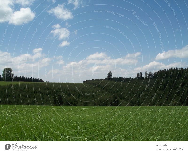 feld Feld grün Baum Berge u. Gebirge Himmel Rasen