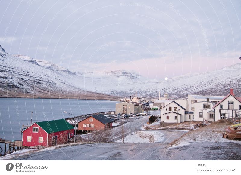 Eskifjörður Landschaft Hügel Berge u. Gebirge Bucht Fjord Island Dorf Fischerdorf Haus kalt maritim schön trist Sehnsucht Fernweh Abenteuer Skandinavien Wasser