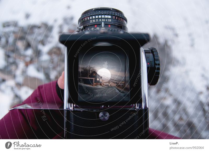 neues Spielzeug Sammlerstück Fotokamera Arbeit & Erwerbstätigkeit genießen Freude Zufriedenheit Fotografieren analog Analogfotografie Hasselblad Mittelformat