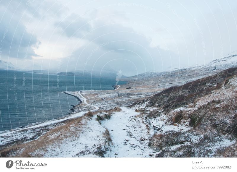 kurvig Umwelt Natur Landschaft Pflanze Winter Klima Hügel Berge u. Gebirge Küste Island stagnierend ruhig Kurve Straße Wolken Farbfoto Außenaufnahme