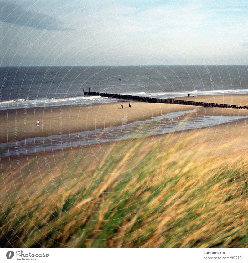 Ruhesaison schön Erholung ruhig Ferien & Urlaub & Reisen Ferne Sommer Strand Meer Wellen Mensch Wasser Himmel Horizont Herbst Wetter Wind Wärme Gras Küste