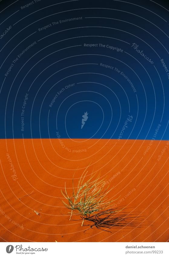 Klimaerwärmung trocken heiß Physik abstrakt Hintergrundbild rot Australien blau Wildnis Erde Sand Wüste Wärme Stranddüne Schönes Wetter Himmel karg trist