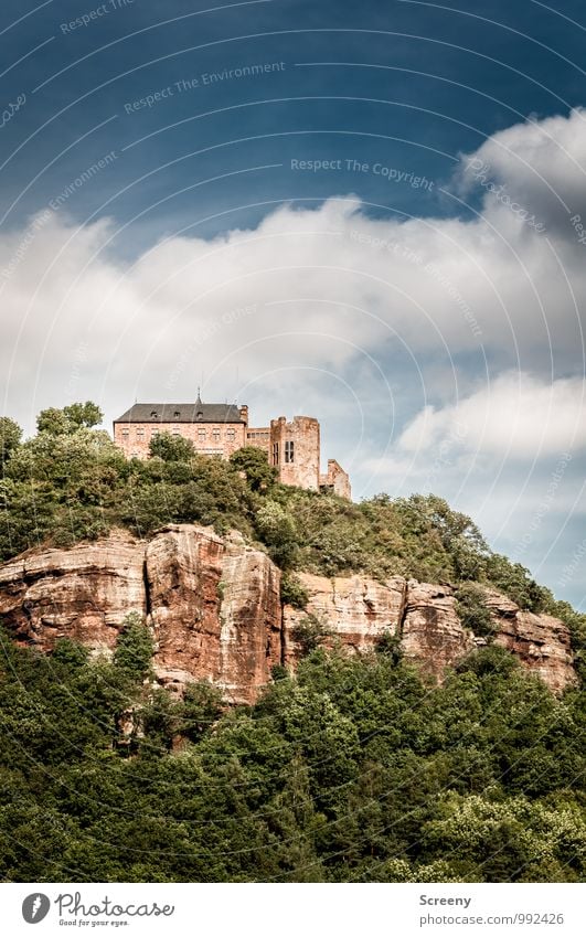 Erhaben Ferien & Urlaub & Reisen Tourismus Ausflug Sightseeing Sommer wandern Landschaft Himmel Wolken Schönes Wetter Sträucher Felsen Eifel Nideggen Stadt