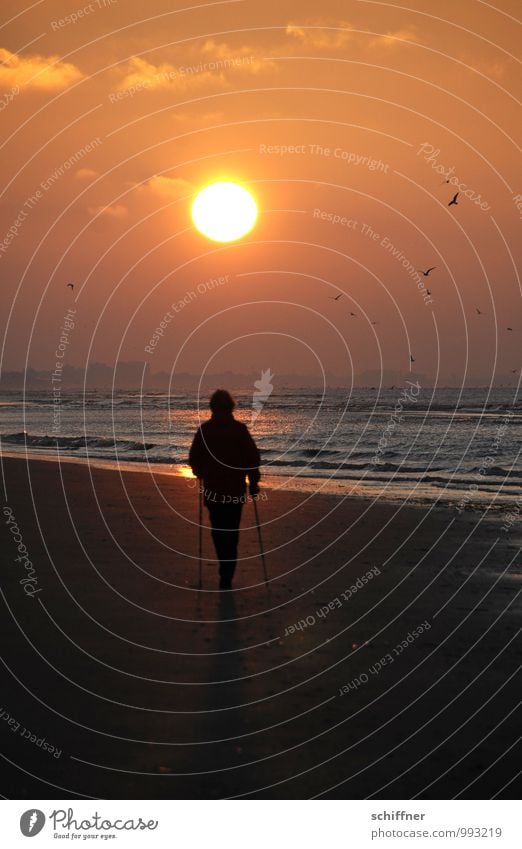 Belgisches Stöckeln Gesundheit Freizeit & Hobby Sport Fitness Sport-Training 1 Mensch Sonnenaufgang Sonnenuntergang Schönes Wetter Wellen Strand Bucht Meer