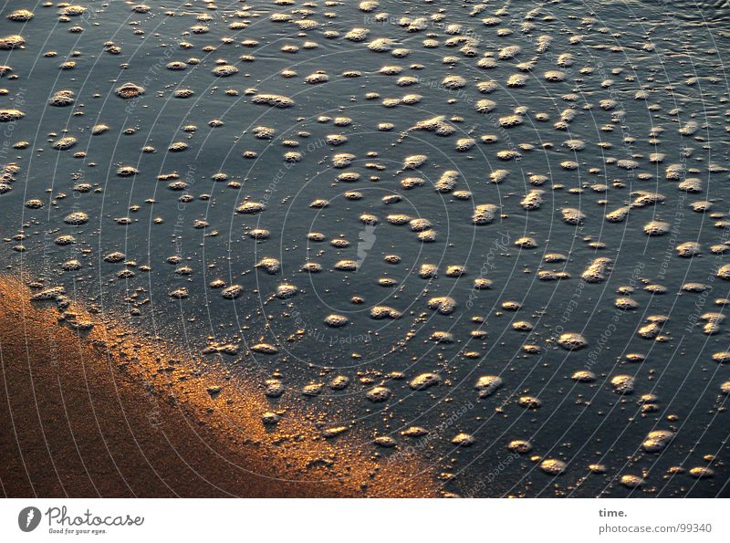 Das Meer, das Meer! rief Lukas ganz aufgeregt ruhig Ferne Strand Erde Sand Wasser Schönes Wetter Küste Gischt Schaum Schaumblase nass blau braun Bewegung