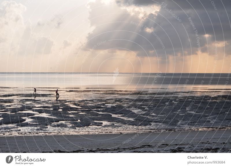 Morgens am Meer Ferien & Urlaub & Reisen Strand Mensch 2 Landschaft Urelemente Sand Wasser Wolken Sonnenaufgang Sonnenuntergang Sonnenlicht Indischer Ozean Ebbe