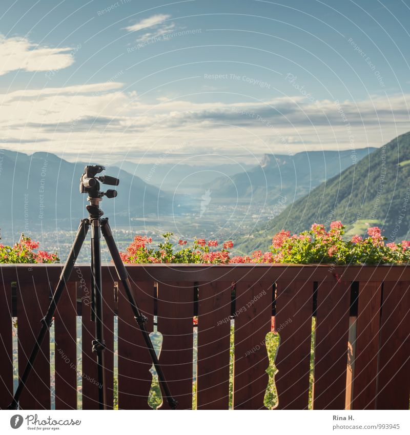 Aussicht mit Stativ Umwelt Natur Pflanze Horizont Sommer Schönes Wetter Blume Berge u. Gebirge Balkon hell Ferien & Urlaub & Reisen Zufriedenheit Meran Geländer