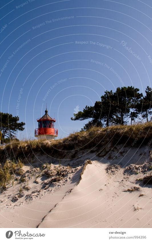 Urlaubsgrüße von der Insel Ferien & Urlaub & Reisen Ausflug Ferne Sommerurlaub Strand Natur Landschaft Pflanze Erde Sand Wolkenloser Himmel Sonnenlicht Frühling