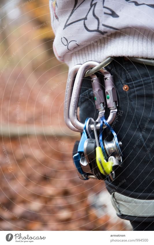 Sicher Klettern Mensch maskulin Hüfte 1 Wald Metall fest Sicherheit Schutz Höhenangst Karabiner Umlenkrollen Sicherungsautomat Kletterausrüstung Farbfoto