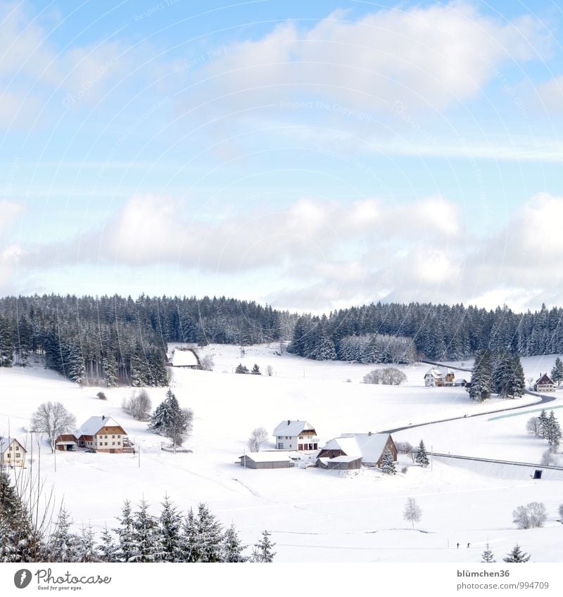 Hüttengaudi | In welcher Hütte steigt die Party? Natur Landschaft Winter Wald Schwarzwald Schwarzwaldhaus Baden-Württemberg Deutschland Dorf Haus Zufriedenheit