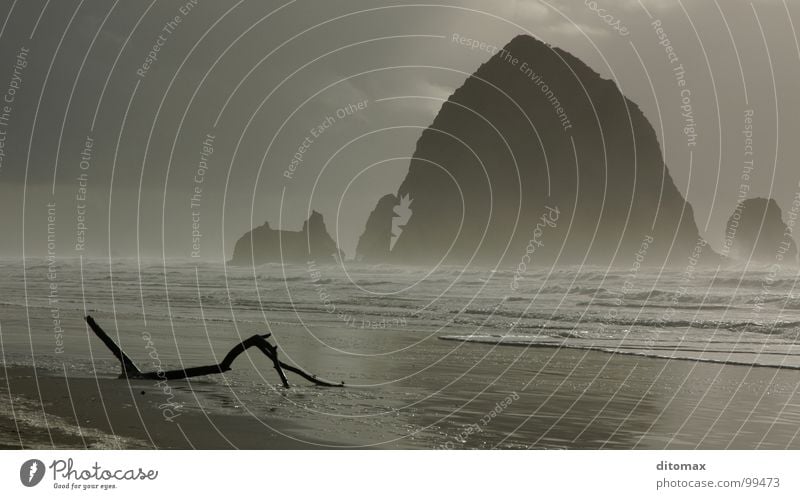 Haystack Branch Oregon Holzmehl Natur Strand USA Wasser schön Haystack Rock Canon Beach sea fog waves pazific clouds Nebel