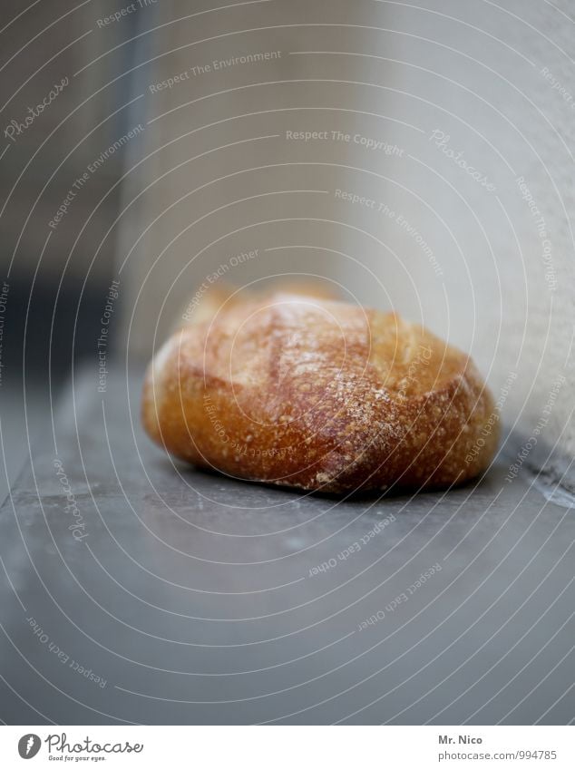 UT Köln | In der Weihnachtsbäckerei Lebensmittel Brötchen Ernährung Frühstück genießen Gesundheit Appetit & Hunger Backwaren Vitamin Teigwaren Büffet Brunch