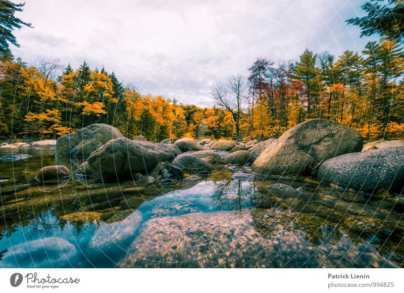 Herbst in New Hampshire Wellness Wohlgefühl Zufriedenheit Sinnesorgane Ferien & Urlaub & Reisen Tourismus Ausflug Abenteuer Ferne Freiheit Berge u. Gebirge