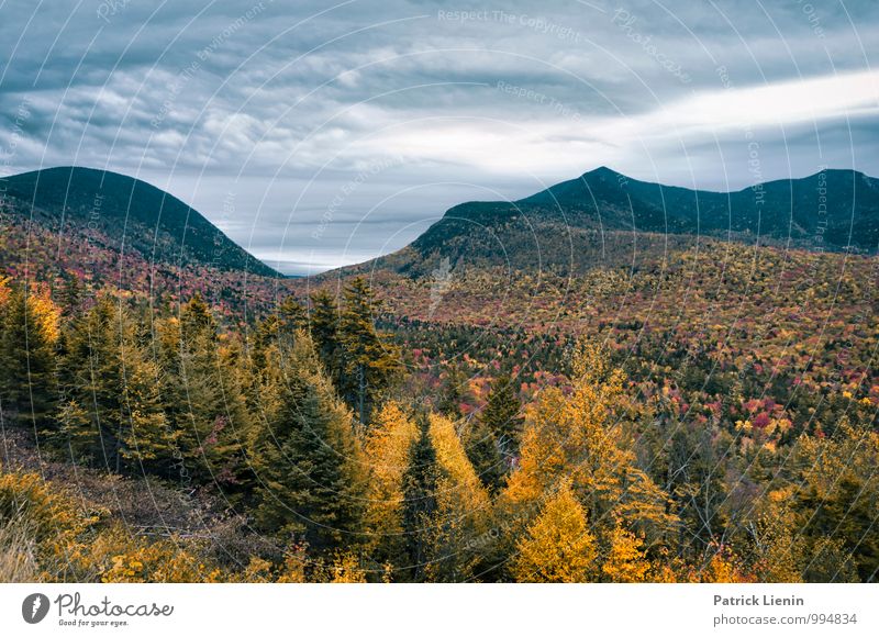 Herbstlich Leben harmonisch Wohlgefühl Zufriedenheit Sinnesorgane Erholung ruhig Meditation Ausflug Abenteuer Ferne Freiheit Sommer Umwelt Natur Landschaft