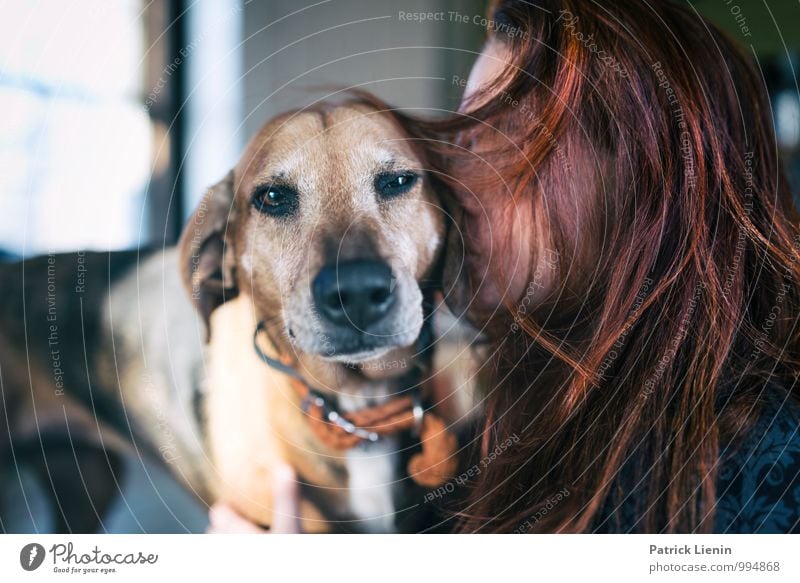 Tierliebe harmonisch Wohlgefühl Zufriedenheit Sinnesorgane Erholung ruhig Meditation Mensch feminin Junge Frau Jugendliche Erwachsene Kopf Haare & Frisuren 1