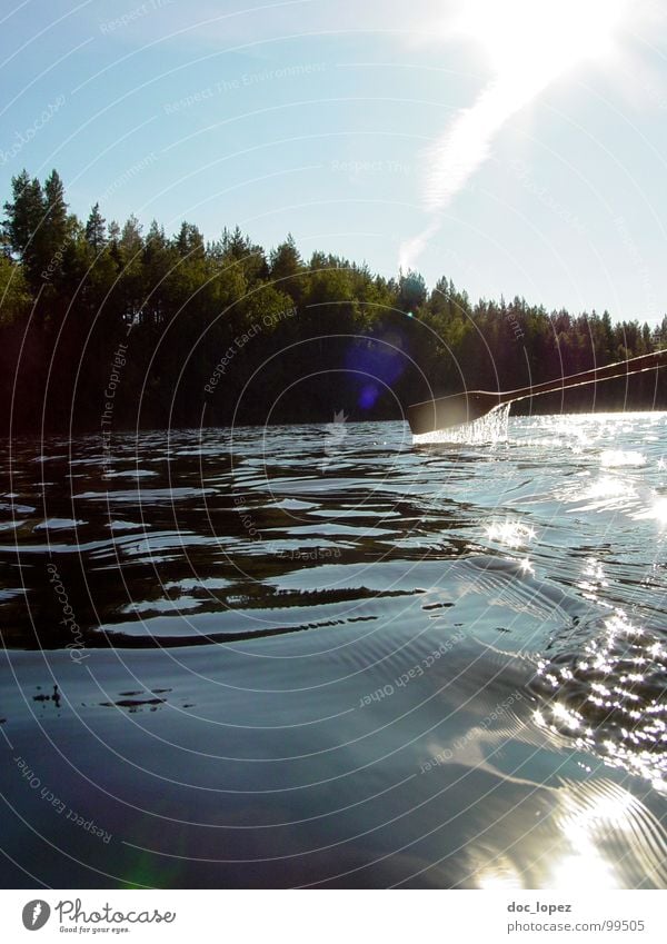 zum Beispiel letztes Jahr im Sommer See Wald Schifffahrt Meeresspiegel Ferien & Urlaub & Reisen Erholung ruhig Einsamkeit ausschalten Paddel Wasserfahrzeug