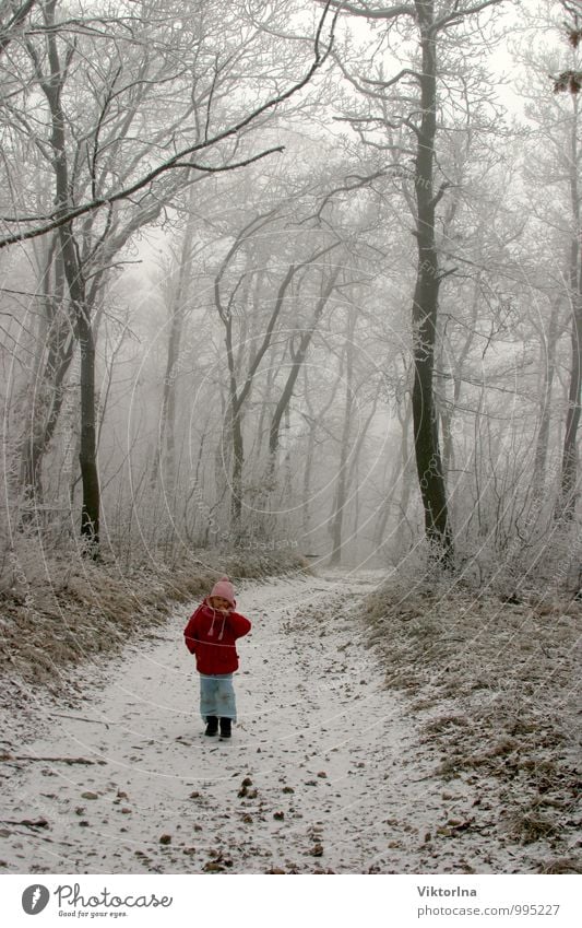 Winterwald Kind Kleinkind Mädchen Bruder Schwester Familie & Verwandtschaft Kindheit 1 Mensch 3-8 Jahre 8-13 Jahre Umwelt Natur Landschaft Klima Eis Frost