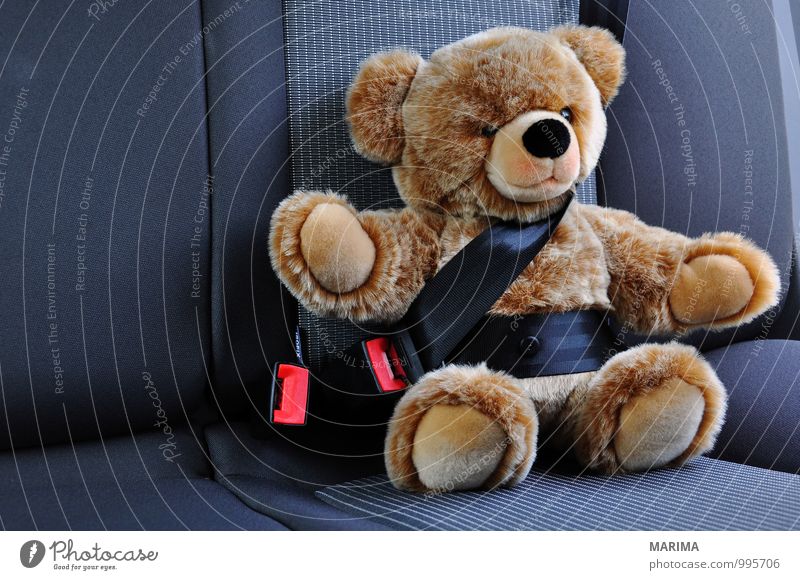 Teddy belted in the car Kind Straße PKW Spielzeug Teddybär Stofftiere fahren sitzen braun schwarz Sicherheit Schutz angeschnallt with attached seatbelts Wagen