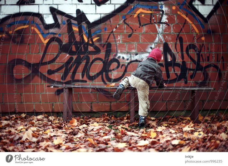 kleiner (Bank-)räuber Lifestyle Stil Freizeit & Hobby Kleinkind Junge Kindheit Leben Körper 1 Mensch 1-3 Jahre Herbst Blatt Stadtrand Mauer Wand Treppe Mütze