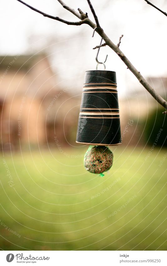 Vogelfutter Ernährung Lifestyle Freizeit & Hobby Häusliches Leben Garten meisenknödel hängen nachhaltig Tierliebe Gastfreundschaft Hilfsbereitschaft Fürsorge