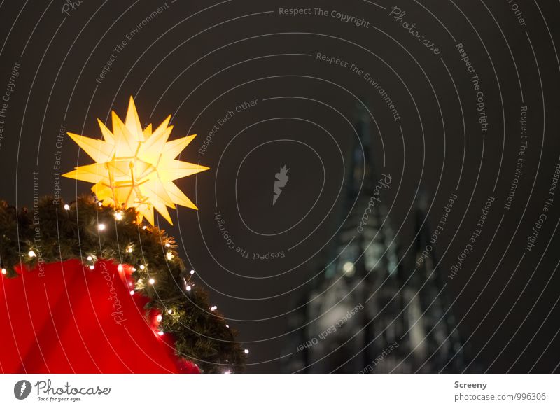 Under the Dom... Weihnachten & Advent Köln Stadt Sehenswürdigkeit Wahrzeichen Kölner Dom leuchten Spitze Stern (Symbol) Weihnachtsmarkt Lichterkette Kathedrale