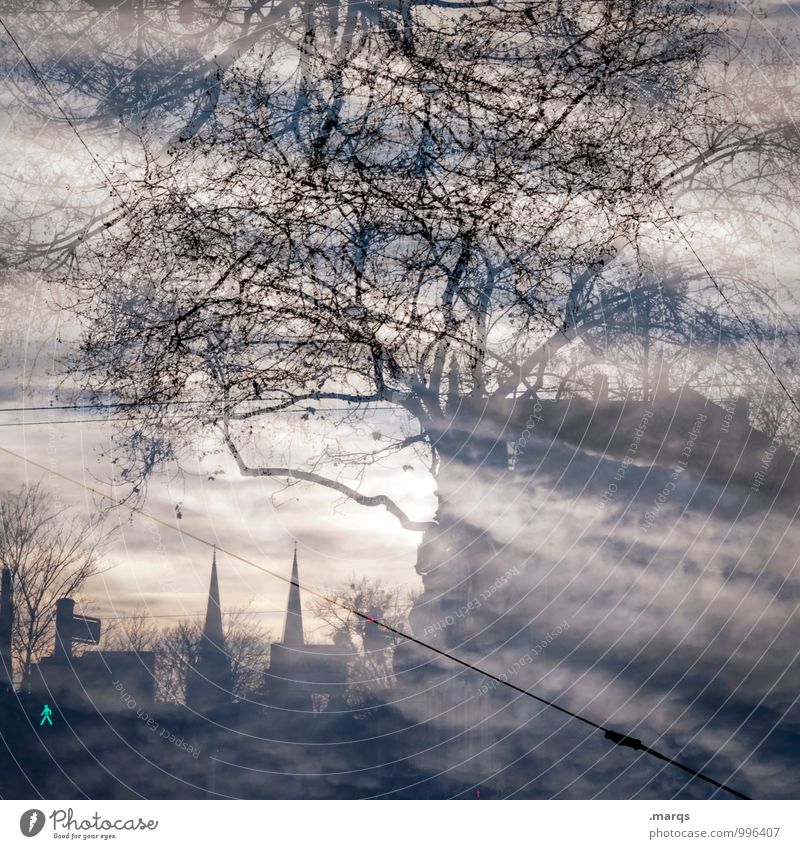 Grün Lifestyle Himmel Wolken Baum Freiburg im Breisgau Skyline träumen außergewöhnlich Surrealismus Ampel Farbfoto Gedeckte Farben Außenaufnahme abstrakt