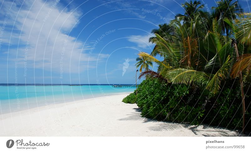 Inselfeeling in High Definition Ferien & Urlaub & Reisen Ferne Freiheit Sommer Strand Meer Wellen Landschaft Wasser Wolken Schönes Wetter Pflanze Sträucher