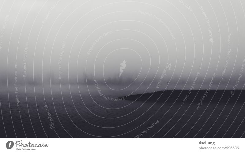 undurchsichtig. Natur Landschaft Erde Wasser Frühling Sommer Herbst Winter Küste Flussufer Insel Abenteuer Angst Einsamkeit Ende geheimnisvoll Langeweile Rätsel
