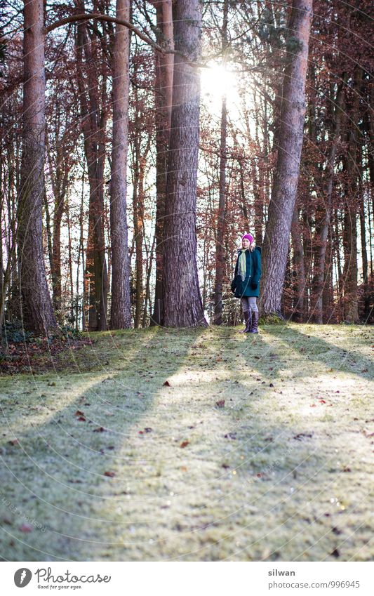 Sonnenaufgang mit Inga ... feminin Junge Frau Jugendliche 1 Mensch 30-45 Jahre Erwachsene Natur Sonnenuntergang Sonnenlicht Winter Eis Frost Baum Gras Park