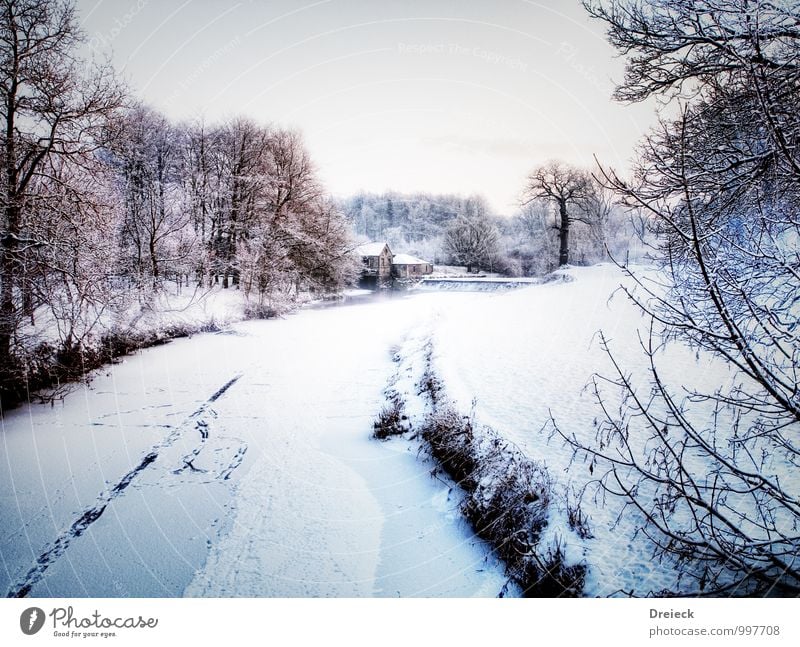 F(l)usspuren Umwelt Natur Landschaft Winter Schnee Schneefall Baum Flussufer frieren kalt weiß Farbfoto Menschenleer Tag