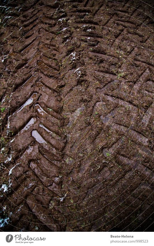 Boden- und Ackertag | immer ackern macht müde! Wassersport Landwirtschaft Forstwirtschaft Baustelle Umwelt Natur Landschaft Urelemente Erde Feld Moor Sumpf