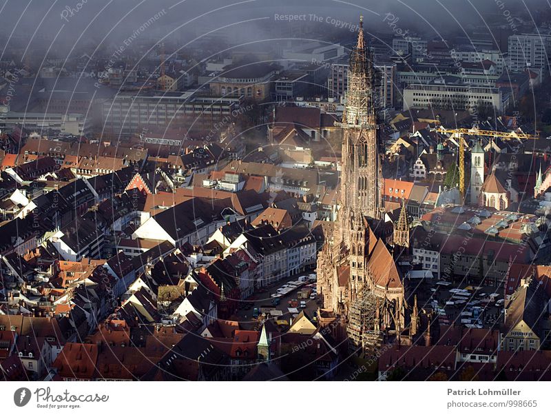 Freiburg von oben Architektur Umwelt Herbst Schönes Wetter Nebel Freiburg im Breisgau Deutschland Europa Kleinstadt Stadtzentrum Altstadt Haus Kirche Marktplatz