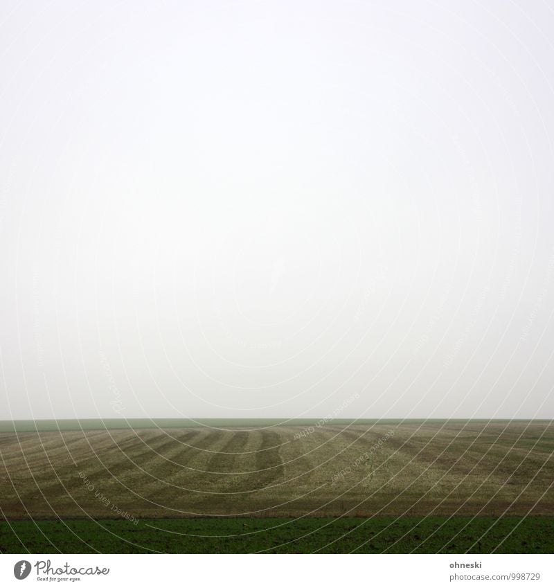 Das Sein und das Nichts Landschaft Urelemente Himmel Wolken Winter Nebel Wiese Feld Trauer Müdigkeit Sehnsucht Einsamkeit Zukunftsangst Verzweiflung